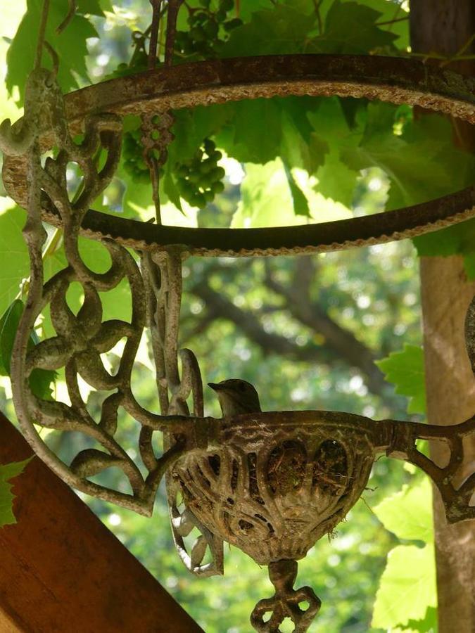Almasliget Vendeghaz Villa Matramindszent Dış mekan fotoğraf
